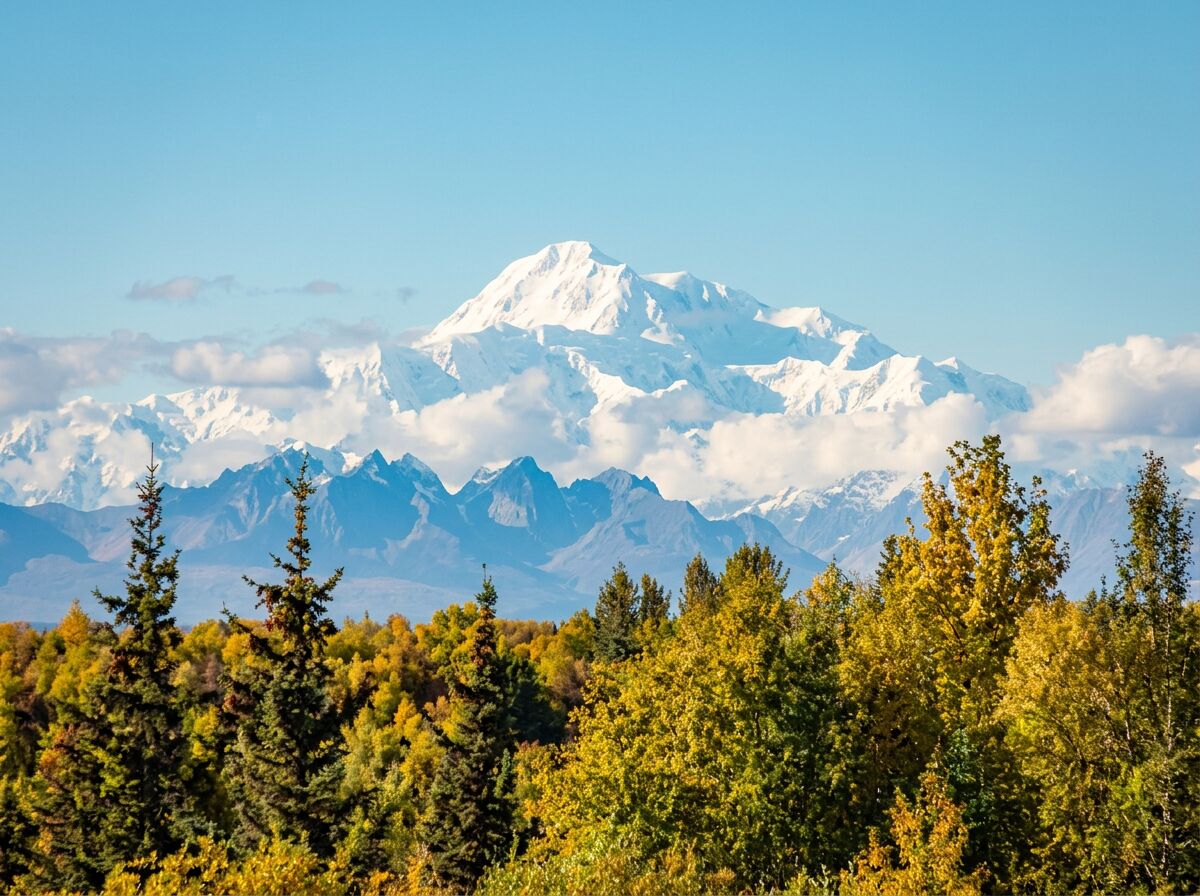 Denali mountain rising above autumn forest in Alaska